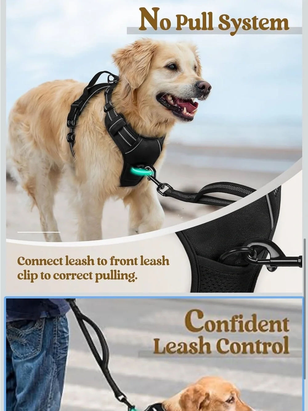 rabbitgoo Dog Harness No Pull with 2 Leash Clips, Adjustable Soft Padded Medium